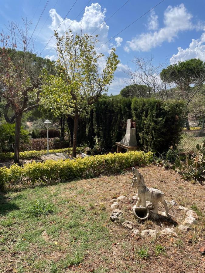 Villa Herlinda Costa Brava - With Swiming Pool Massanet De La Selva Zewnętrze zdjęcie